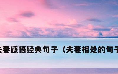 夫妻感悟经典句子，夫妻相处的句子经典语录