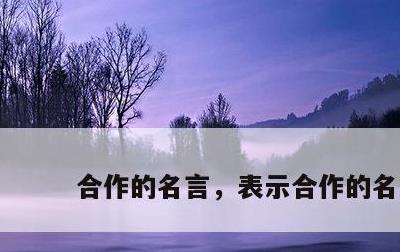 合作的名言，表示合作的名言