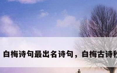 白梅诗句最出名诗句，白梅古诗秒懂百科