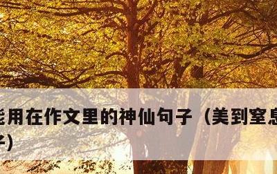 能用在作文里的神仙句子，美到窒息的简短句子