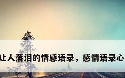 让人落泪的情感语录，感情语录心痛的句子