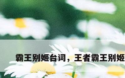 霸王别姬台词，王者霸王别姬台词