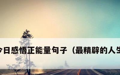 今日感悟正能量句子，最精辟的人生感悟句子