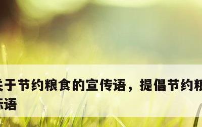 关于节约粮食的宣传语，提倡节约粮食的宣传标语