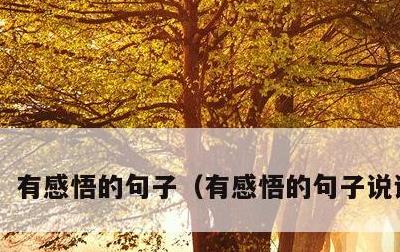 有感悟的句子，有感悟的句子说说心情