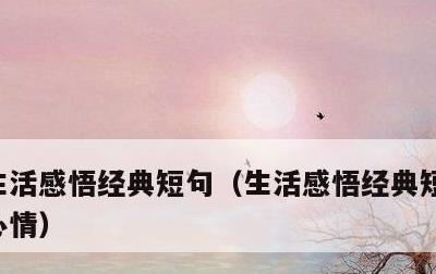 生活感悟经典短句，生活感悟经典短句子说说心情