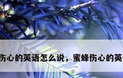 伤心的英语怎么说，蜜蜂伤心的英语怎么说