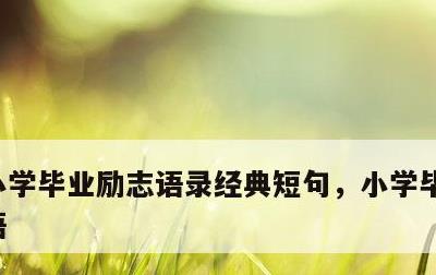 小学毕业励志语录经典短句，小学毕业生励志语