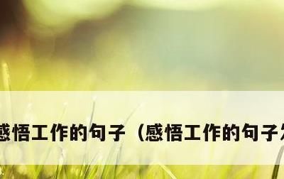 感悟工作的句子，感悟工作的句子发朋友圈
