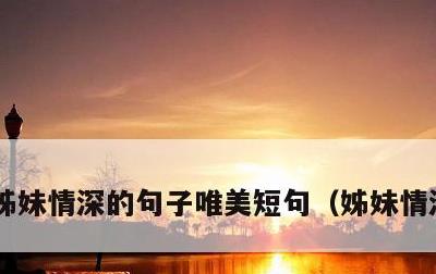 姊妹情深的句子唯美短句，姊妹情深的感语