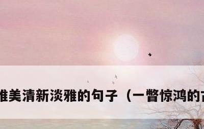 唯美清新淡雅的句子，一瞥惊鸿的古风仙句