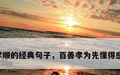 孝顺的经典句子，百善孝为先懂得感恩的句子