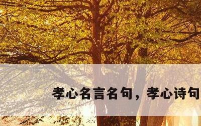 孝心名言名句，孝心诗句