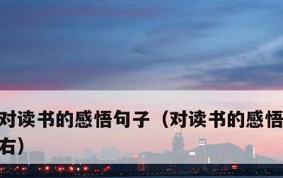 对读书的感悟句子，对读书的感悟200字左右