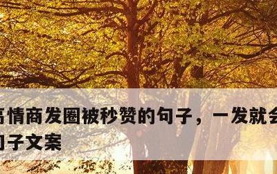 高情商发圈被秒赞的句子，一发就会被秒赞的句子文案