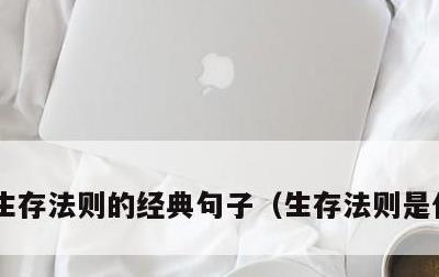 生存法则的经典句子，生存法则是什么意思