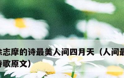 徐志摩的诗最美人间四月天，人间最美四月天诗歌原文
