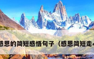 感恩的简短感悟句子，感恩简短走心的句子