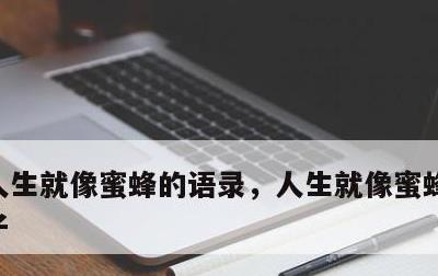 人生就像蜜蜂的语录，人生就像蜜蜂的语录句子