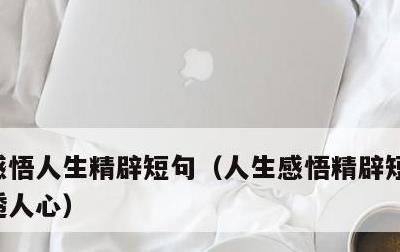 感悟人生精辟短句，人生感悟精辟短语句句穿透人心
