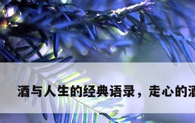 酒与人生的经典语录，走心的酒文案