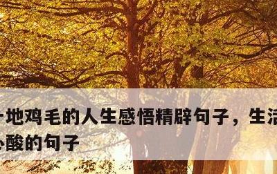 一地鸡毛的人生感悟精辟句子，生活一地鸡毛心酸的句子