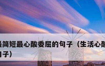 最简短最心酸委屈的句子，生活心酸又无奈的句子