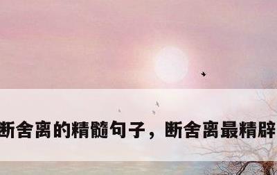 断舍离的精髓句子，断舍离最精辟的一段话