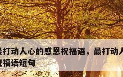最打动人心的感恩祝福语，最打动人心的感恩祝福语短句