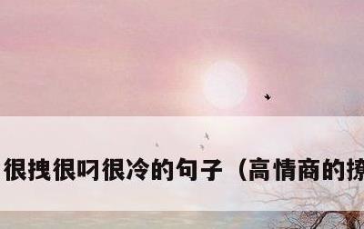 很拽很叼很冷的句子，高情商的撩人句子