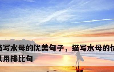 描写水母的优美句子，描写水母的优美句子可以用排比句
