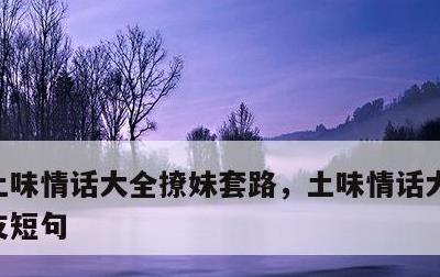 土味情话大全撩妹套路，土味情话大全撩男朋友短句
