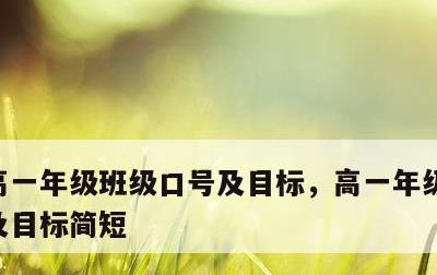 高一年级班级口号及目标，高一年级班级口号及目标简短