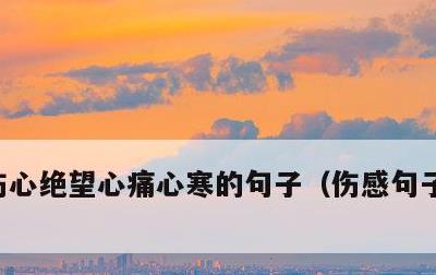 伤心绝望心痛心寒的句子，伤感句子句句心痛