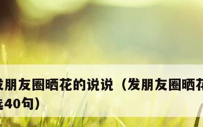 发朋友圈晒花的说说，发朋友圈晒花的说说精选40句