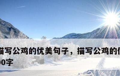 描写公鸡的优美句子，描写公鸡的优美句子100字