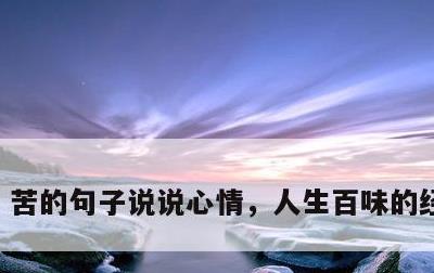 苦的句子说说心情，人生百味的经典句子