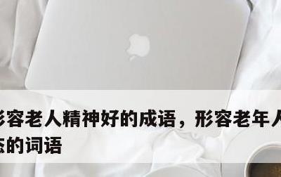 形容老人精神好的成语，形容老年人的外貌神态的词语