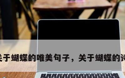 关于蝴蝶的唯美句子，关于蝴蝶的诗句有哪些