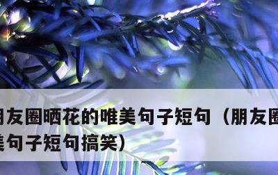 朋友圈晒花的唯美句子短句，朋友圈晒花的唯美句子短句搞笑
