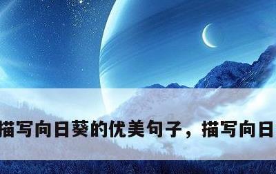 描写向日葵的优美句子，描写向日葵的作文