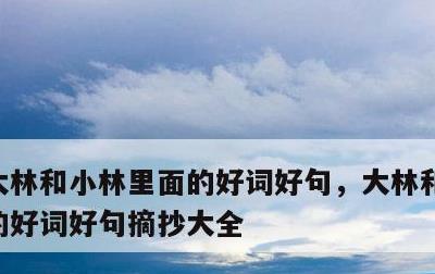 大林和小林里面的好词好句，大林和小林里面的好词好句摘抄大全