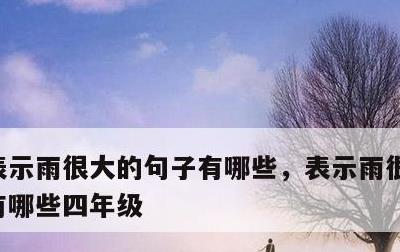 表示雨很大的句子有哪些，表示雨很大的句子有哪些四年级