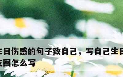 生日伤感的句子致自己，写自己生日的话发朋友圈怎么写