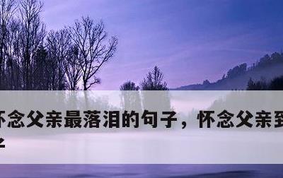 怀念父亲最落泪的句子，怀念父亲到心碎的句子
