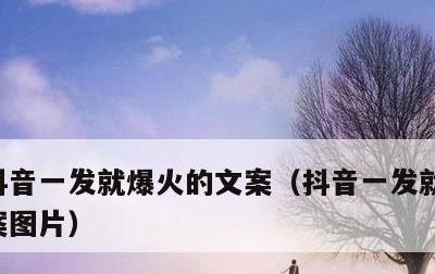 抖音一发就爆火的文案，抖音一发就爆火的文案图片