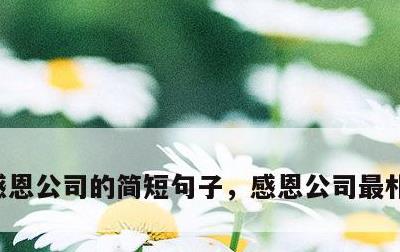 感恩公司的简短句子，感恩公司最朴实的句子