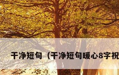 干净短句，干净短句暖心8字祝福语