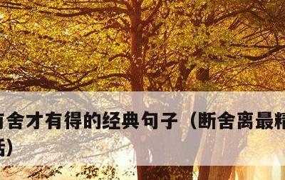 有舍才有得的经典句子，断舍离最精辟的一段话