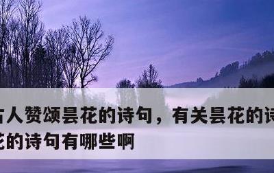 古人赞颂昙花的诗句，有关昙花的诗词赞美昙花的诗句有哪些啊